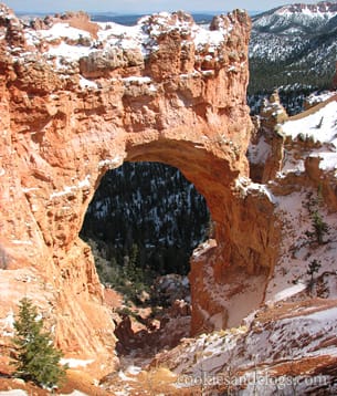 Bryce Canyon US National Park in Utah UT Hoodoo