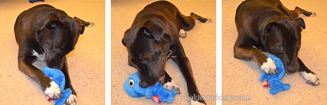 Hear Doggy Ultrasonic Squeaky Dog Toy