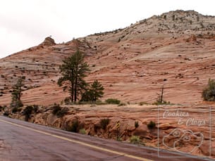 zionnp03 Zion National Park in Utah