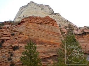 zionnp04 Zion National Park in Utah