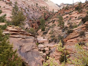 zionnp05 Zion National Park in Utah