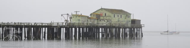 Half Moon Bay Princeton by the Sea Coast Tide Pool Fishing