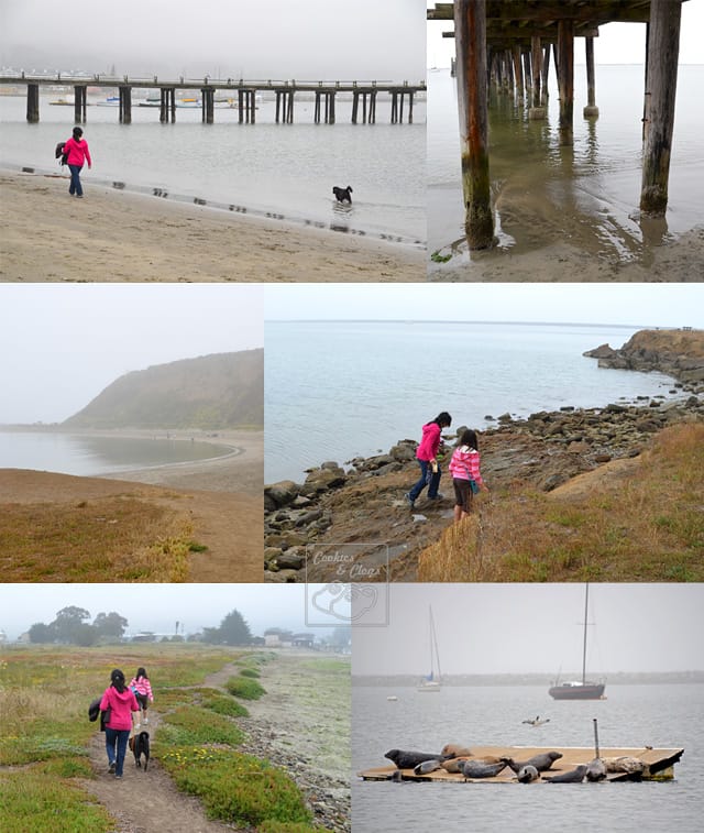 Half Moon Bay Princeton by the Sea Coast Tide Pool Fishing