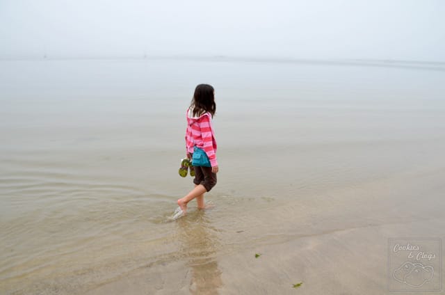 Half Moon Bay Princeton by the Sea Coast Tide Pool Fishing
