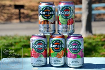 Hansens Natural Cane Soda Picnic
