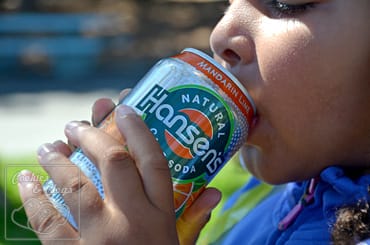 Hansens Natural Cane Soda Picnic