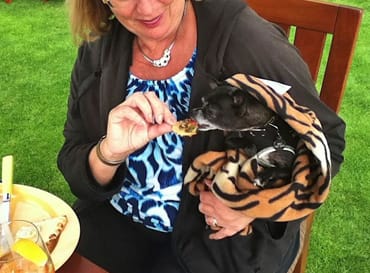 Yappy hour dog pup ritz carlton half moon bay beach coast