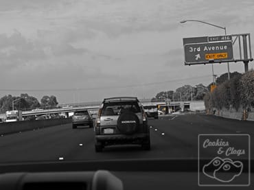 Panasonic Lumix G5 DSLM Freeway