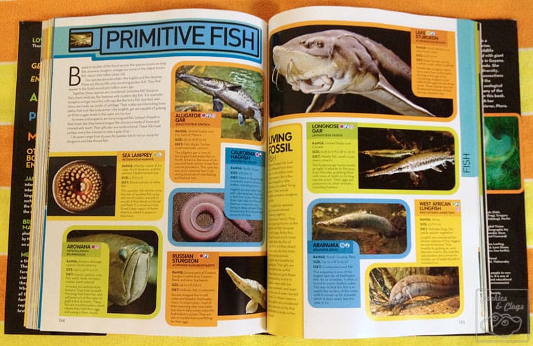 National Geographic Kids Animal Encyclopedia Book