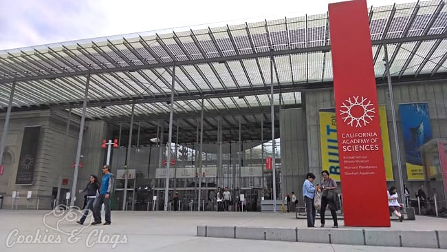 California Academy of Sciences at Golden Gate Park in San Francisco, CA #SFBay