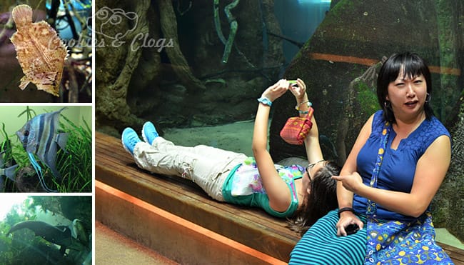 Aquarium at California Academy of Sciences at Golden Gate Park in San Francisco, CA #SFBay