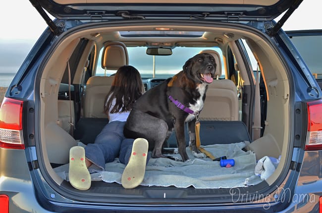 2014 Kia Sorento EX AWD Family Review