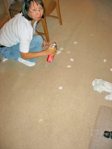 Mohawk Flooring License to Spill SmartStrand Carpet Stain Resistant could have prevented this mishap