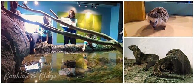 Aquarium of the Bay, San Francisco, CA #SFBay