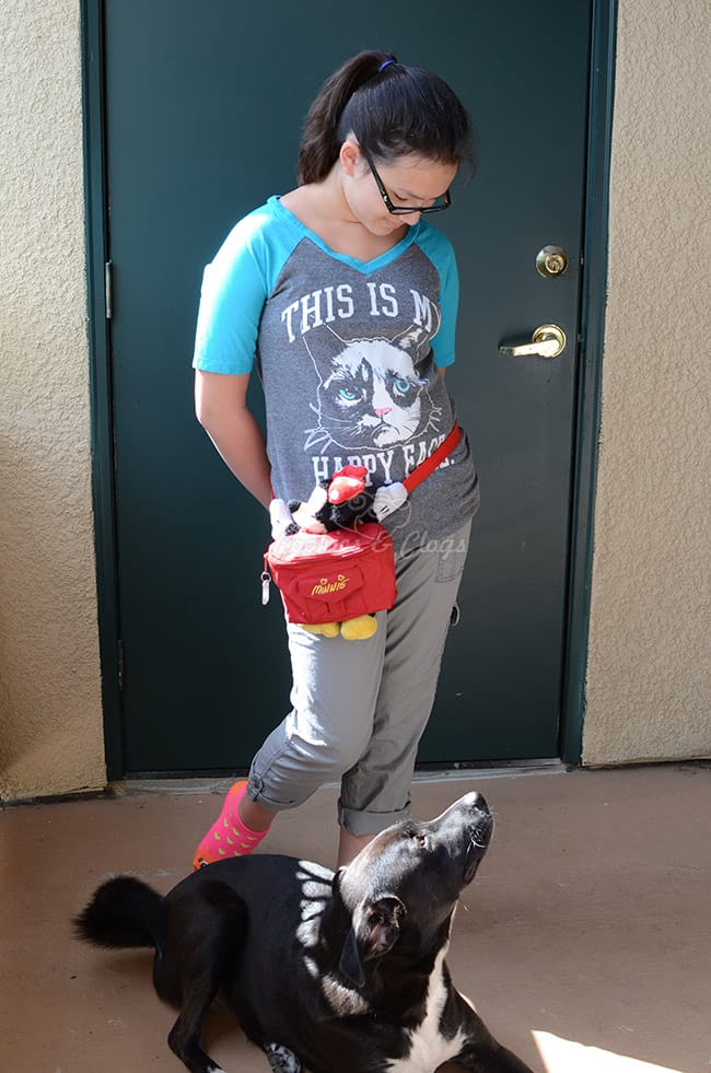Grumpy Cat and capris found while shopping for Disney clothing by Jumping Beans at Kohl's #MagicAtPlay