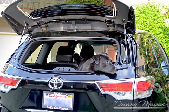 2014 Toyota Highlander Limited Crossover SUV Family Review #Cars
