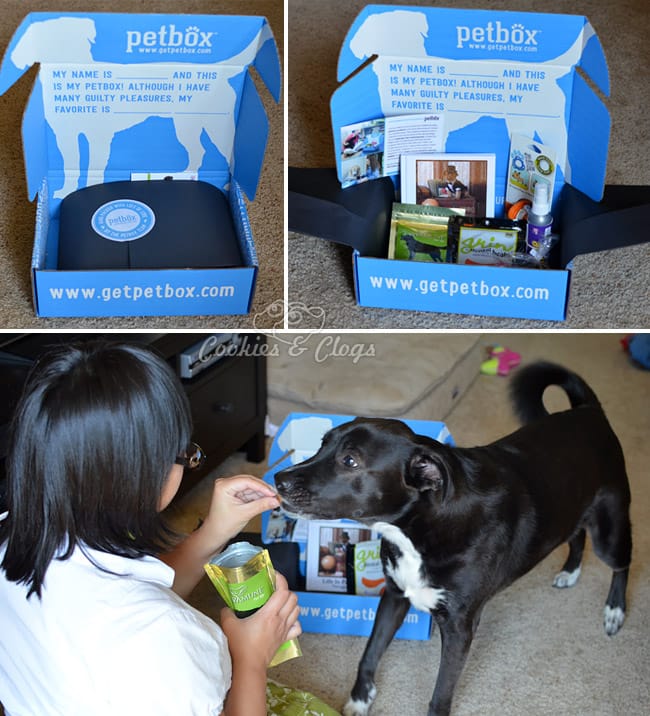 PetBox Review - monthly pet / dog / cat delivery service #Dogs #Cats