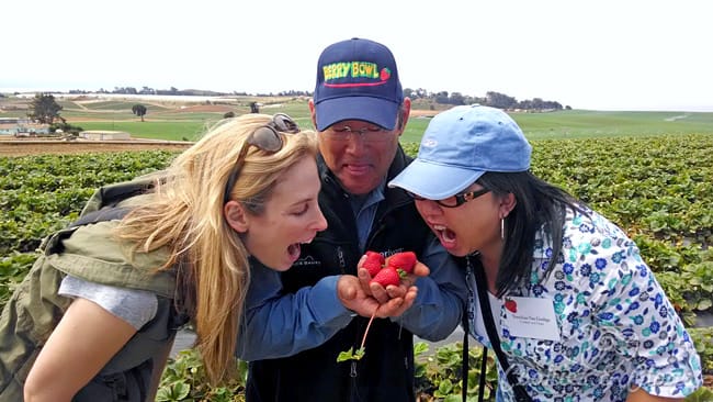Strawberry fields tour in Watsonville w/ CA Strawberry Commision – Shinta Kawahara Farm with Rod Koda #StrawberryLand #photography
