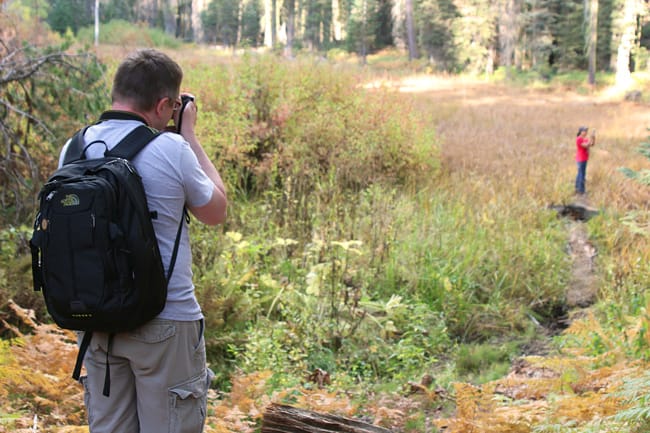 People and Nature Photography in Sequoia National Park Crescent Meadow #photography #travel