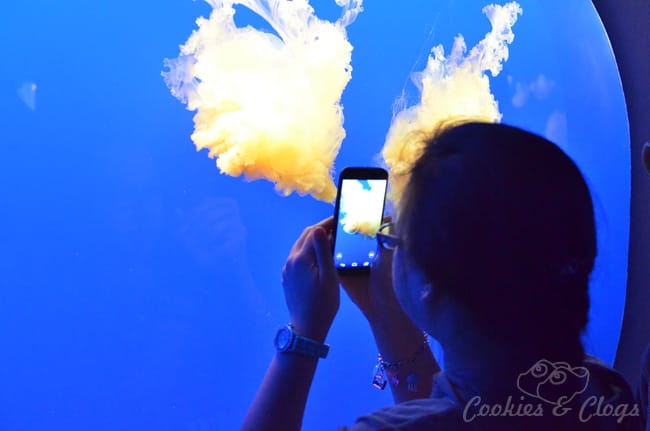 5 Tips to Balance Children and Technology as a Parent Today