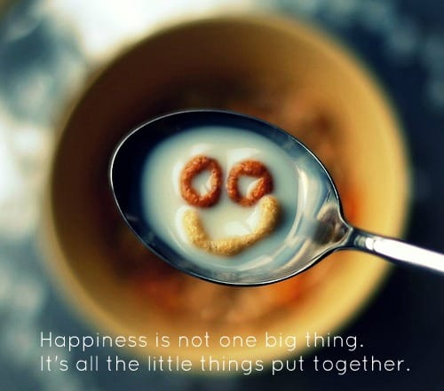 Quotes about happiness – It's about the little things put together #Quotes