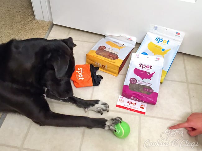 Spot Farms family owned all natural antibiotic-free dog treats
