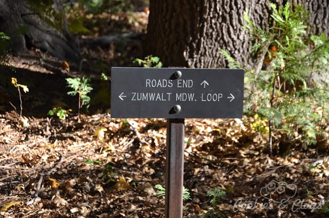 Kings Canyon National Park is in California. Use these travel ideas to decide what activities and things to do and see where you can enjoy family friendly hiking among nature.