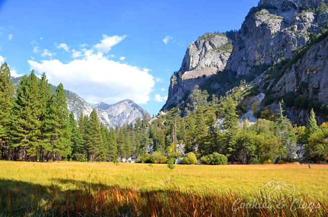 Kings Canyon National Park is in California. Use these travel ideas to decide what activities and things to do and see where you can enjoy family friendly hiking among nature.