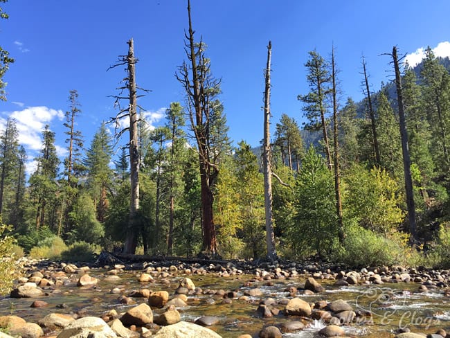 Kings Canyon National Park is in California. Use these travel ideas to decide what activities and things to do and see where you can enjoy family friendly hiking among nature.