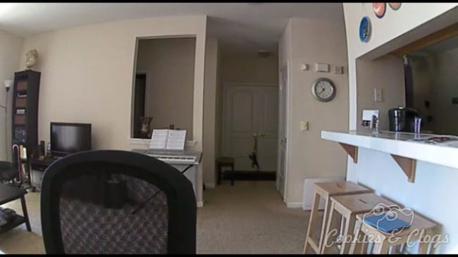 Technology | Gadgets | The Arlo Smart Home Security Camera System by NETGEAR is easy to install and has a handy app. Check out this home security review and see if this camera system is right for your home. Installation tips, cloud storage price, and comparison of other services included.