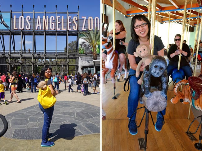 Monkey Kingdom | Nature | Animals | In honor of Disneynature Monkey Kingdom, we visited the Los Angeles Zoo to see several species of monkeys up close. Check out the video here of the hilarious singing Siamang duet!