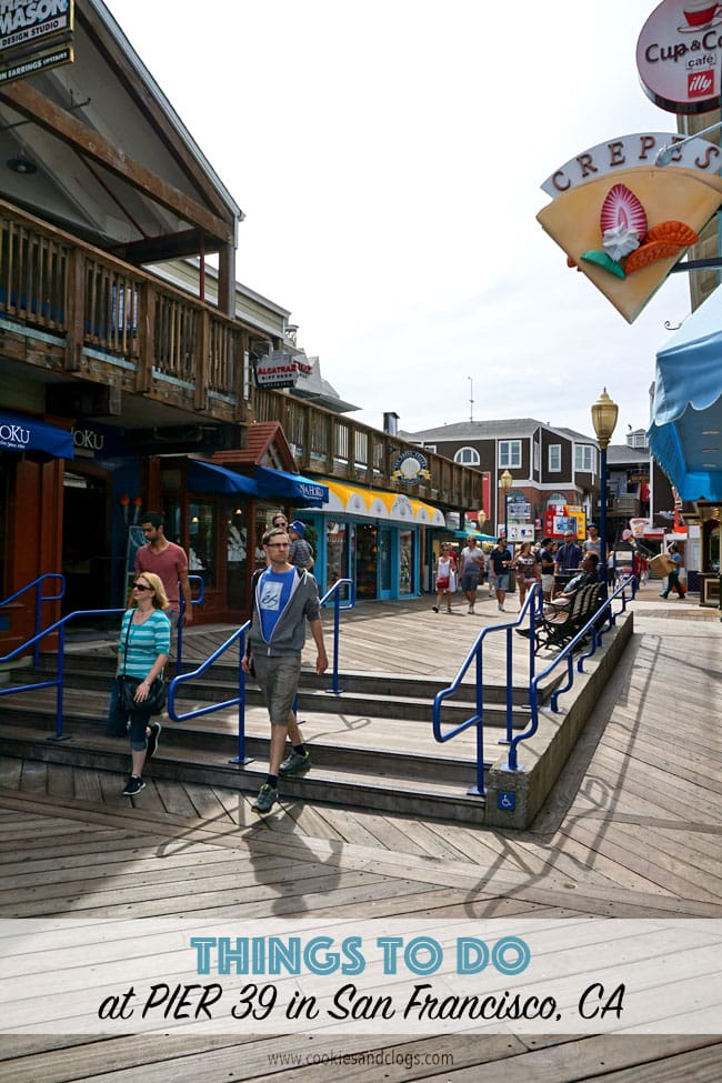 Travel | There are so many things to do with kids (or without) at Pier 39 in San Francisco, CA. Check out the aquarium, RocketBoat, sea lions, and get the Local Advantage discount here.