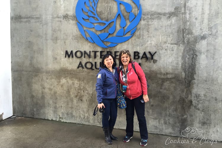 Movies | We went behind-the-scenes to check out Finding Dory at Monterey Bay Aquarium. Find out how the animators drew inspiration from the gorgeous exhibits of fish, animals, and sea life like the kelp forest. Oh, and a bonus photo of the wild sea otter and her newborn pup!