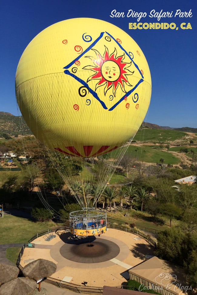 Nature Photography | Our last visit to San Diego Safari Park was amazing. We were able to capture some gorgeous and fun photos as the animals were extra active that day. The highlight was our ride on the Africa Tram tour. Hot air Balloon Safari