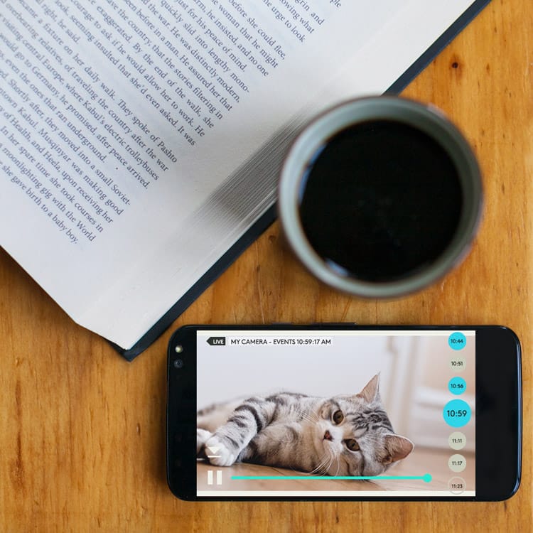 Pets | Cats | Dogs | May is National Pet Month and Logitech is partnering with San Francisco SPCA and Boston’s MSPCA-Angell. When you adopt a cat or dog from either of these campuses in May, you will receive a Logi Circle to keep tabs on them. See details here.