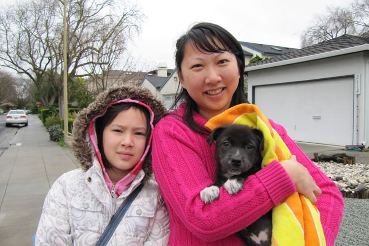Pets | Cats | Dogs | May is National Pet Month! I still remember fondly when we brought our new puppy home. She was so cute… and still is.