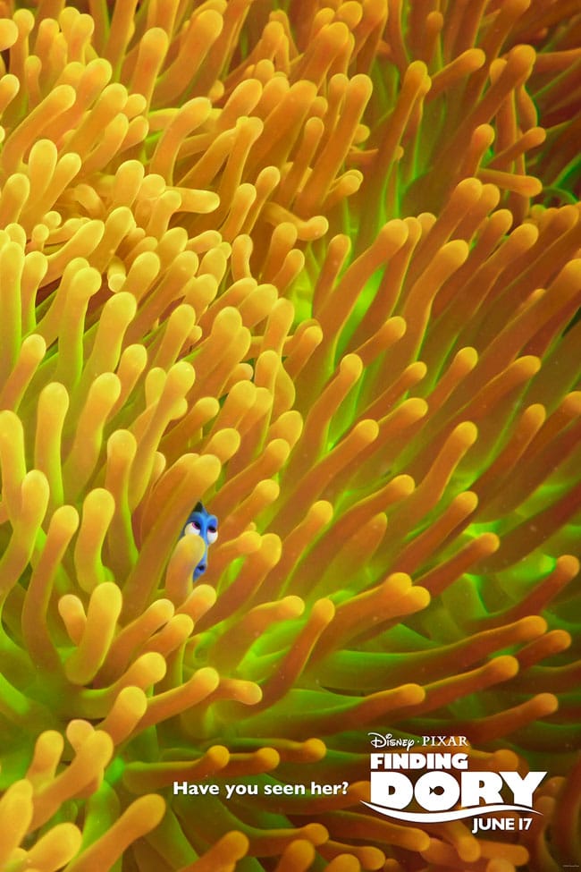 Movies | Disney / Pixar | See why animating Hank the septopus from Finding Dory was so difficult, learn some movie fun facts, and watch my personal encounter with a real live Giant Pacific Octopus!