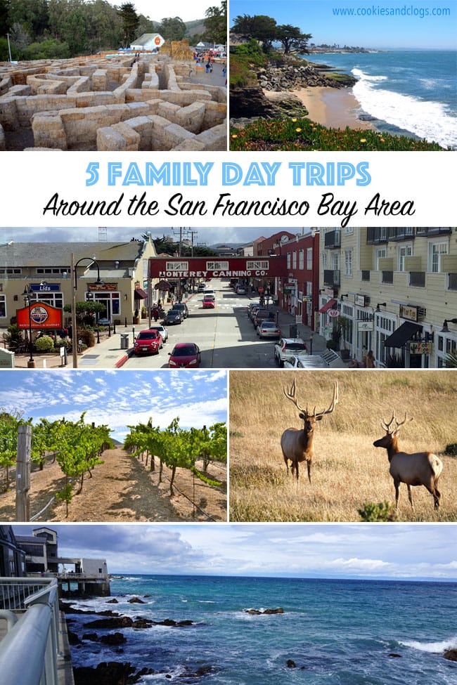 Cookies & Clogs | Travel Tips| When deciding what things to do in San Francisco Bay Area, try these 6 family day trips with kids. Read reasons why you should visit Monterey, Napa, Half Moon Bay, Santa Cruz, and Point Reyes and what to see and do there.