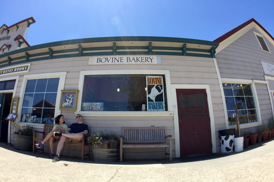 Cookies & Clogs | Want to take a family road trip to Point Reyes National Seashore in Point Reyes, CA? Here are several things to do with the kids including the Point Reyes Lighthouse. See what the climb down is like and if it's worth the trek. Bovine Bakery in Point Reyes Station + Gluten-Free