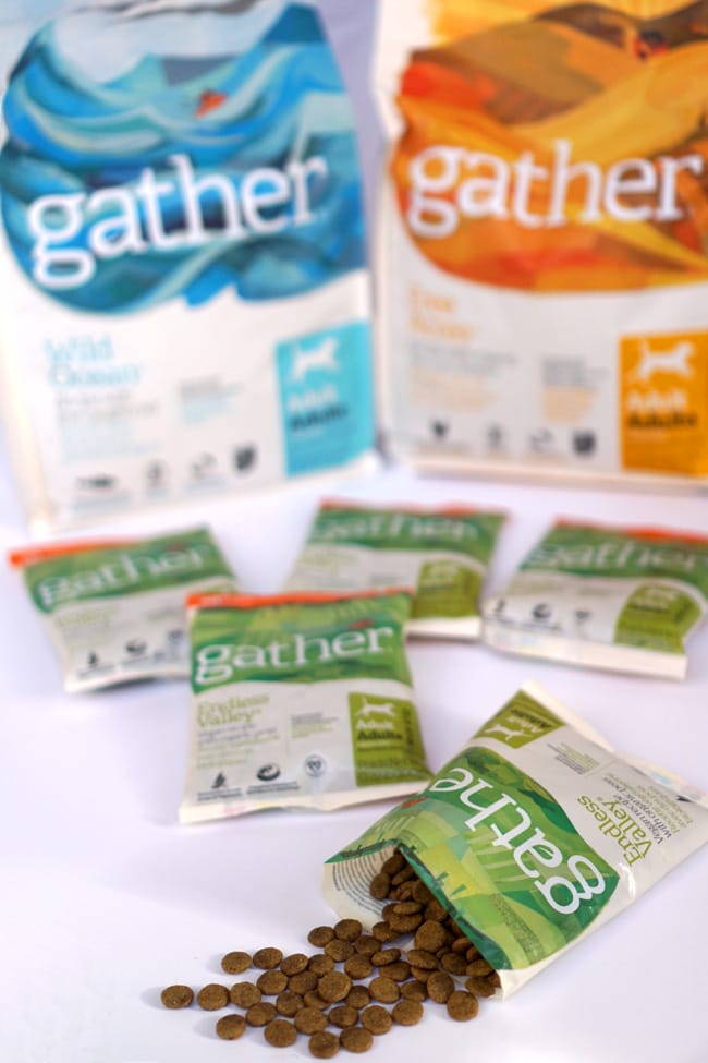 Cookies & Clogs | See how we successfully switch dog food brands with Petcurean and learn about the new GATHER certified and organic dog food.