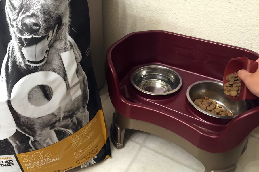 Cookies & Clogs | See how we successfully switch dog food brands with Petcurean and learn about the new GATHER certified and organic dog food.