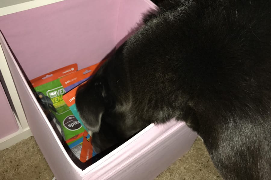 Cookies & Clogs | SPIKE jerky dog treats are all natural, grain and gluten free, and come in four flavors. My dog loves these and can't keep her tail from wagging uncontrollably when she see them!