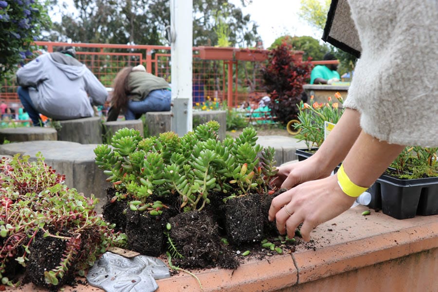 comcast-cares-day-2017-10 Cookies & Clogs | 2017 Comcast Cares Day at Sutro Elementary in San Francisco, CA + interview with David L. Cohen. Local community project also brings attention to Asian Pacific American Heritage Month.