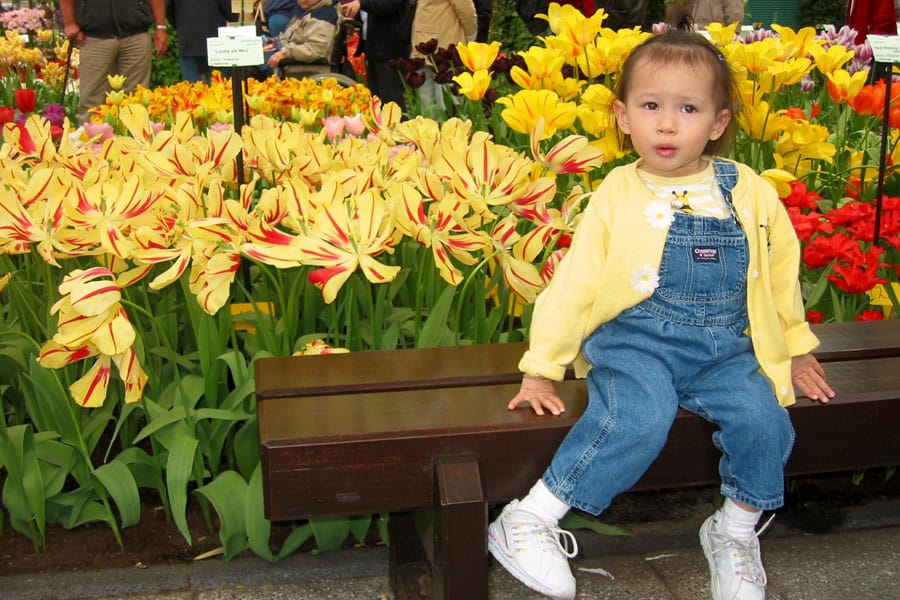 Cookies & Clogs | Potty training is already a challenge but, when you have to do it in a foreign country, it's even harder. See how doing errands in the Netherlands / Holland lead to countless accidents with my then toddler. Girl at keukenhof