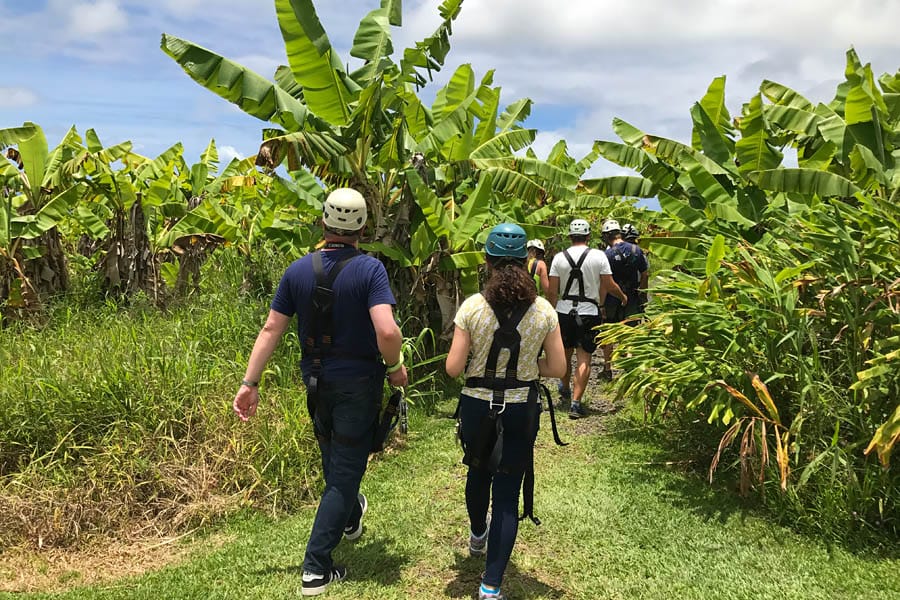 Cookies & Clogs | My first experience with ziplining in Hawaii was with Skyline Eco Adventures Akaka Falls Zipline on the Big Island of Hawaii. See how the quality, safety, and amazing crew won us over. Check out the video of all seven lines!