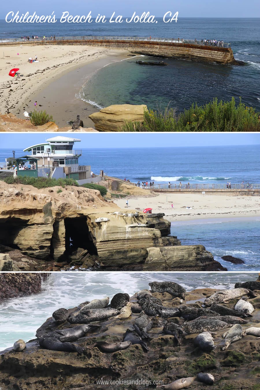 Children's Beach and Seal Rock in La Jolla, CA with the 2018 Hyundai Elantra GT
