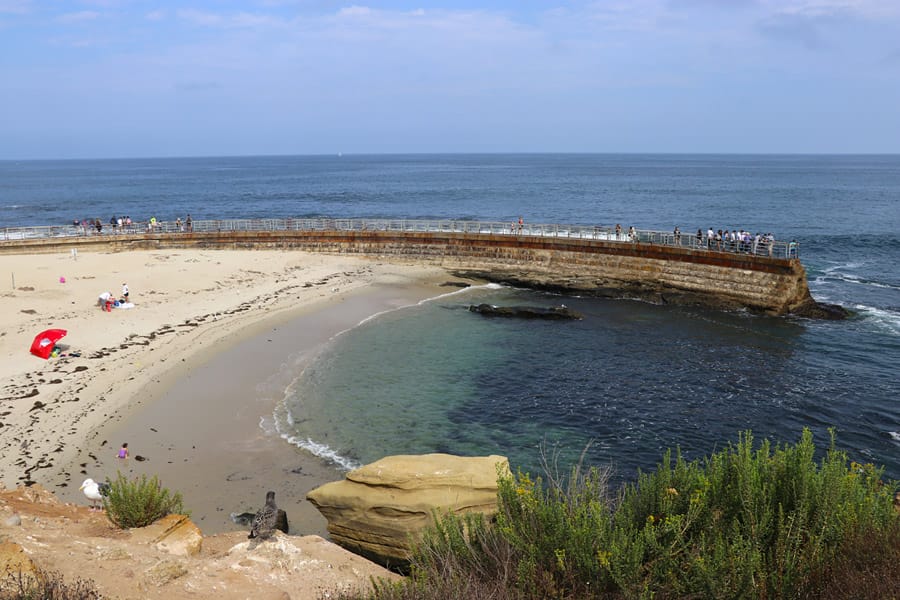 Children's Beach in La Jolla, CA with the 2018 Hyundai Elantra GT