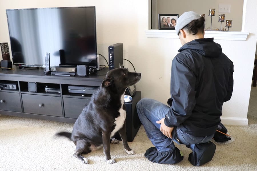 Cookies & Clogs | Using xFi and the xFi app from Comcast to manage home Wi-Fi with Xfinity with kids.