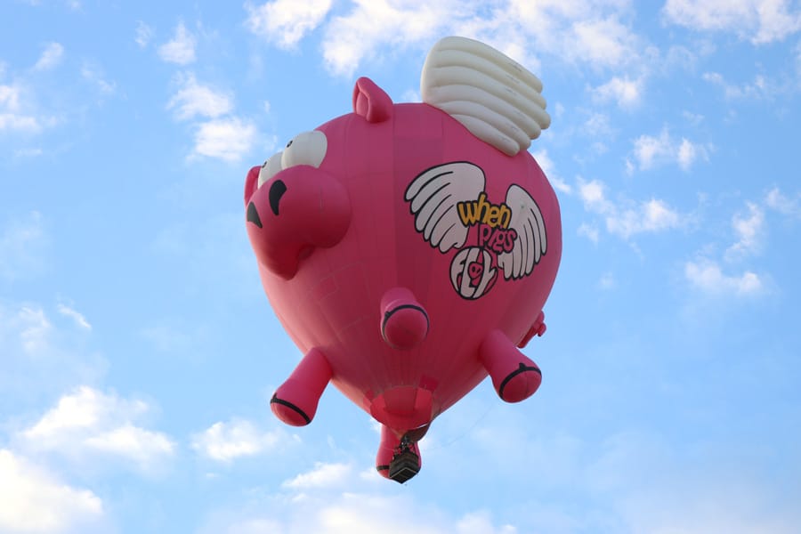 2017 Albuquerque International Balloon Fiesta in New Mexico Special Shapes Rodeo Flying Pig
