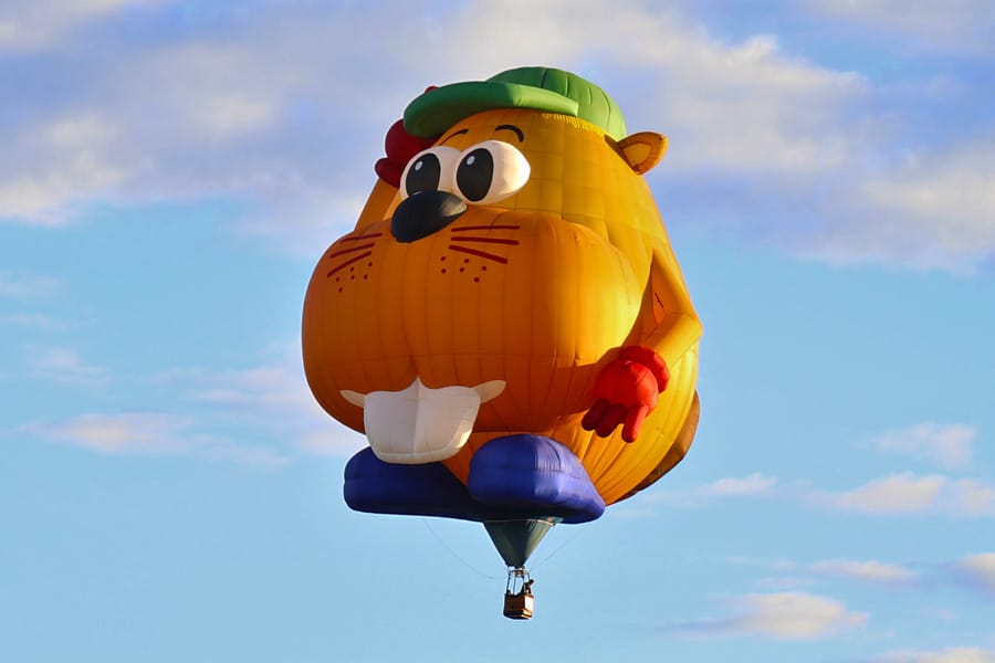 2017 Albuquerque International Balloon Fiesta in New Mexico Special Shapes Rodeo Beaver